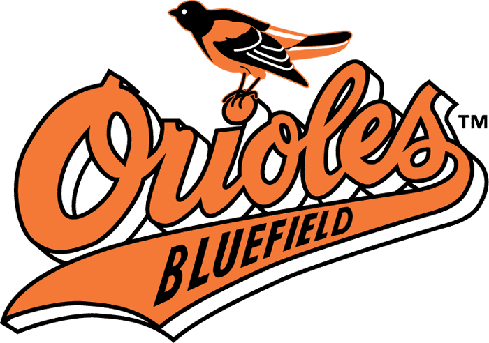 Bluefield Orioles 1993-2010 Primary Logo iron on heat transfer